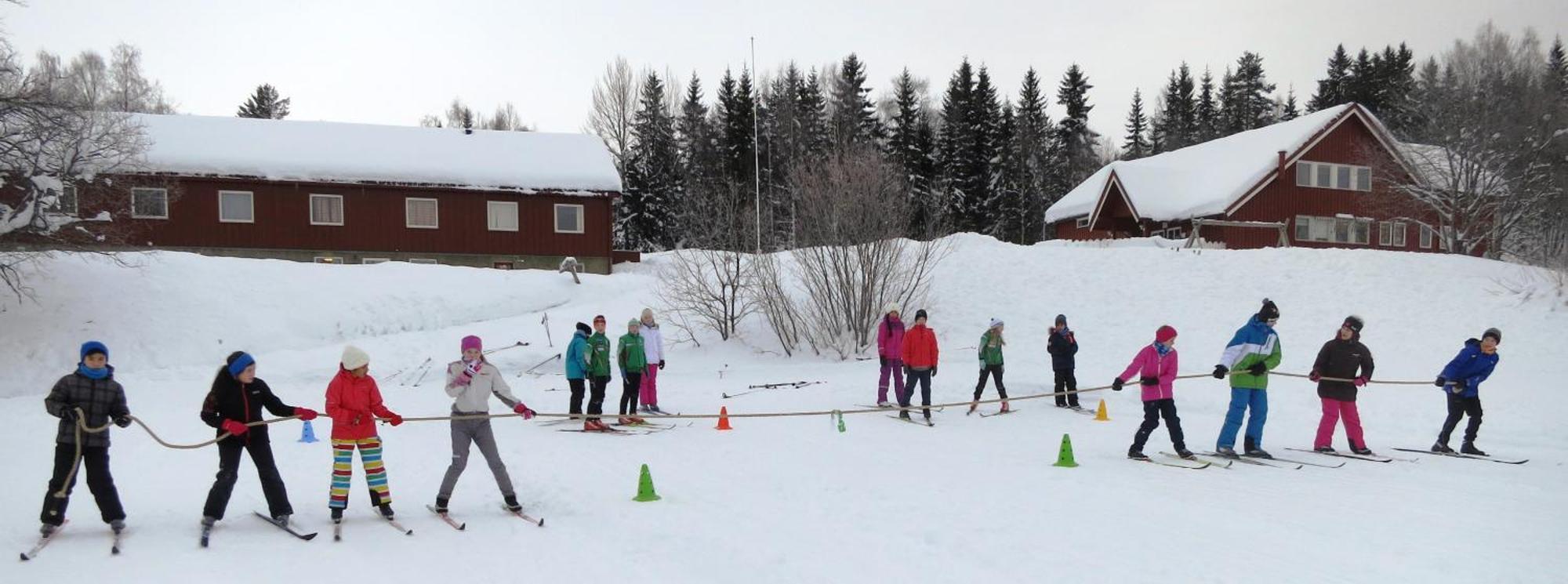 Camp Sjusjoen Hotel Mesnali Ngoại thất bức ảnh