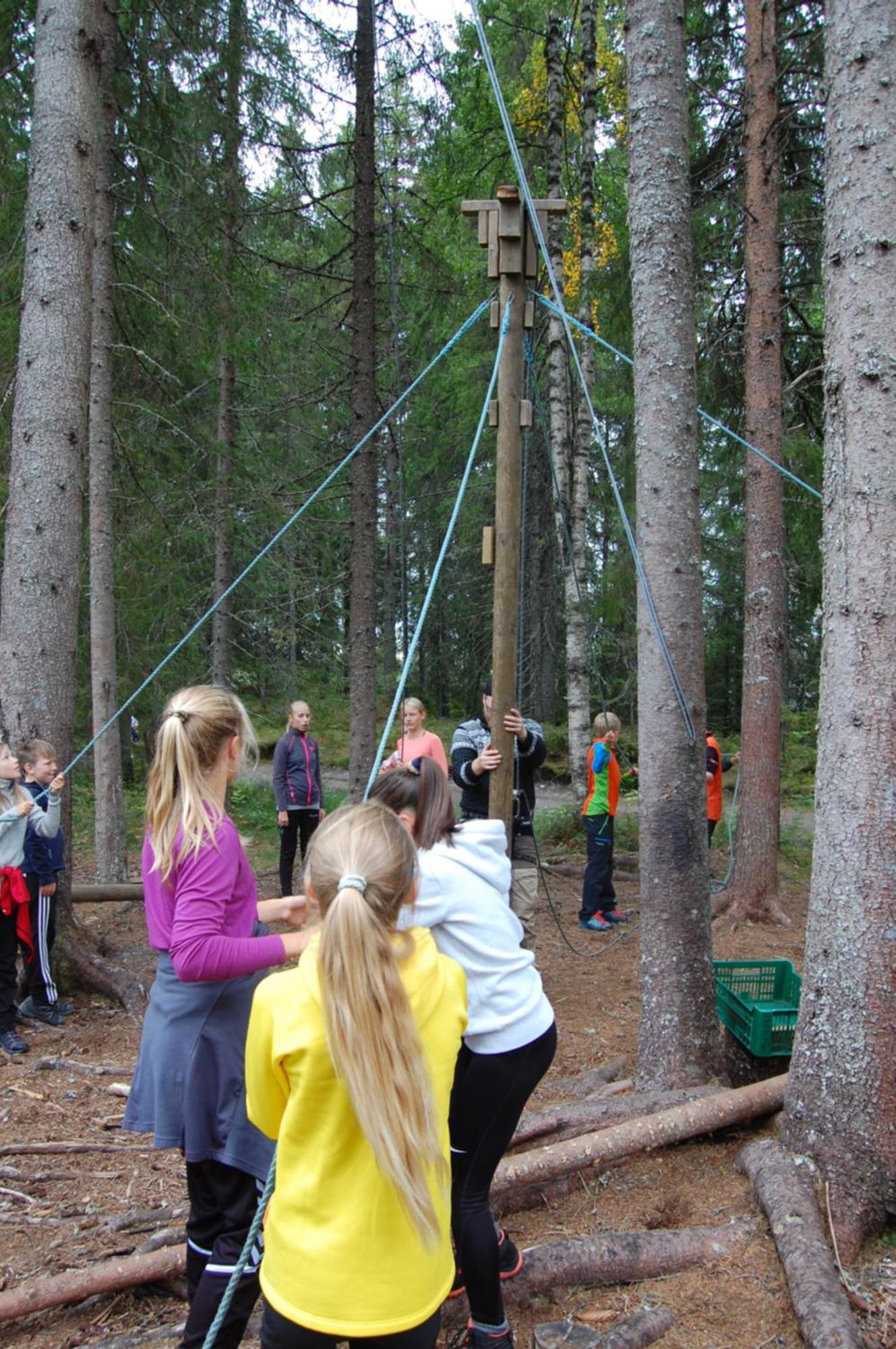 Camp Sjusjoen Hotel Mesnali Ngoại thất bức ảnh