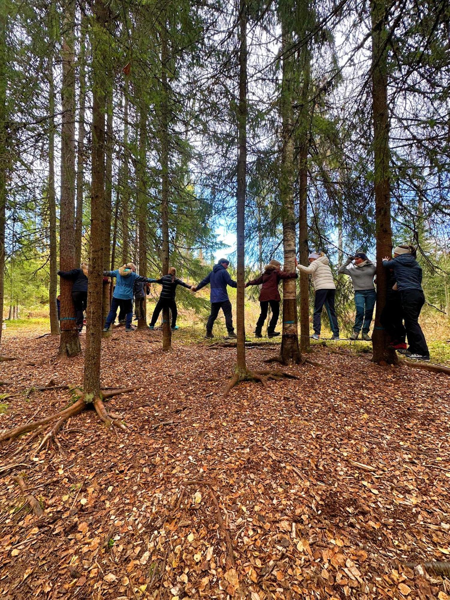 Camp Sjusjoen Hotel Mesnali Ngoại thất bức ảnh